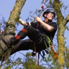 TreeLeads.co gallery