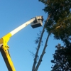 Parker's General Tree Service gallery