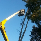 Parker's General Tree Service