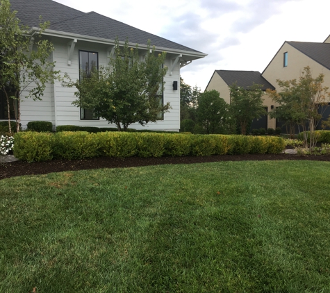 AA Green Landscaping - Manassas, VA