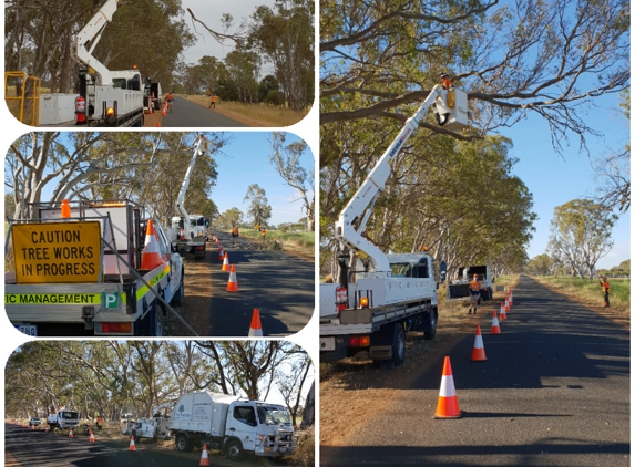 Nelson's Tree Services