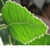 Perth Home Cleaners - Cleaning - Home