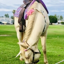 Jet's Horseshoeing