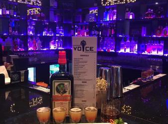 Voice Karaoke Bar & Lounge - Cypress, TX