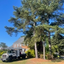 Down East Tree Service II - Tree Service