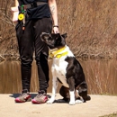 Ubora K9 - Dog Training
