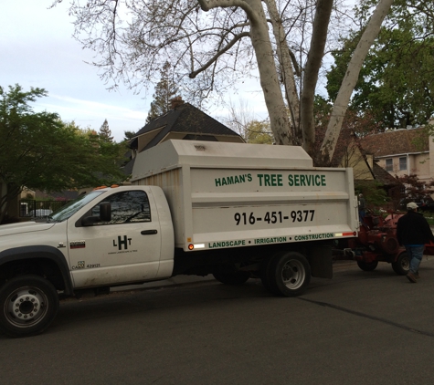 Haman Tree Service - Sacramento, CA