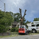 Kari's Tree Service