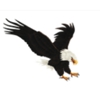 Eagle Landscaping gallery