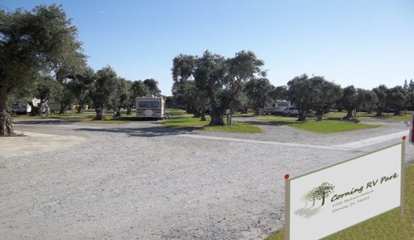 Corning RV Park - Corning, CA