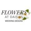 Daisies Wedding Designs & Flowers gallery