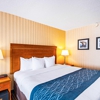 Comfort Inn Falls Church - Tysons Corner gallery