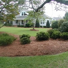 Tristan Moore Landscaping