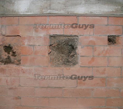 Termite Guys Brisbane