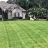 Super Lawns gallery