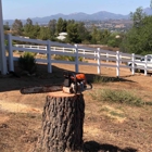 Estates Tree Service