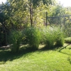 Carters Complete Lawncare Services gallery