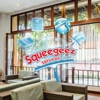 Squeegeez Services gallery