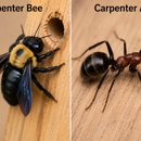 Panvibes Professional Pest Solutions