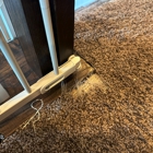 Compass Carpet Repair & Cleaning