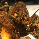 Red Lobster - Seafood Restaurants