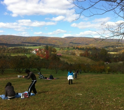 Stribling Orchard - Markham, VA