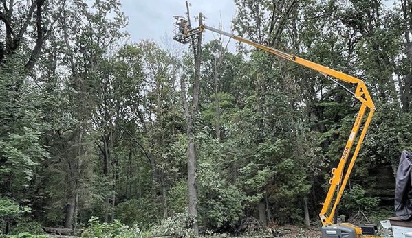 Trustfall Tree Service - De Pere, WI