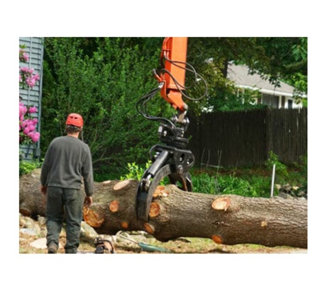 All About Tree Services QLD - Elanora, QLD