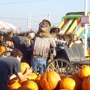 Pa's Pumpkin Patch