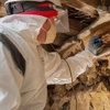 Insight Pest Solutions gallery