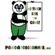 Panda Programmer Gaithersburg Summer Camp