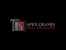 Apex cranes and rigging - Cranes-Renting & Leasing
