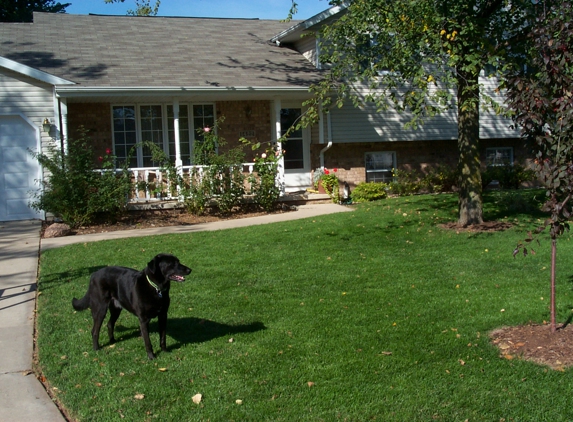 Prox Lawncare - Appleton, WI