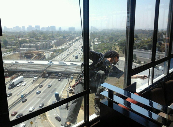 Window Cleaning Professionals - Los Angeles, CA