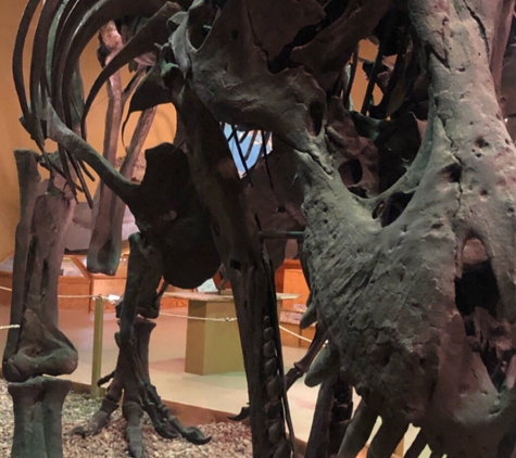 Wyoming Dinosaur Center - Thermopolis, WY