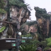 Disney's Animal Kingdom Theme Park gallery