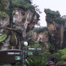 Disney's Animal Kingdom Theme Park - Theme Parks