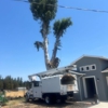 FC Valley Tree Care Inc. gallery