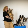 Every Dog Behavior and Training gallery