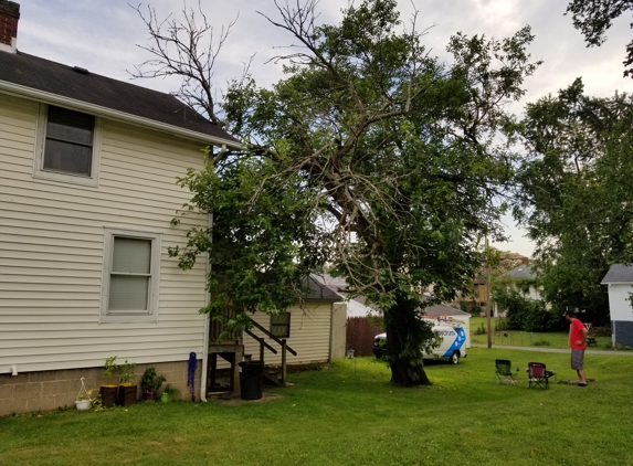 Advanced Tree Service