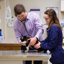 Somerset Animal - Veterinary Clinics & Hospitals