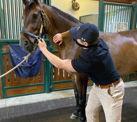 Palm Beach Equine Clinic - Wellington, FL