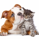 Guardian Pet Watch, LLC - Pet Services