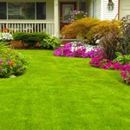 Cesars Services - Landscaping & Lawn Services