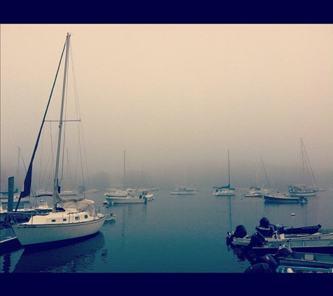 Marine Biological Laboratory - Woods Hole, MA