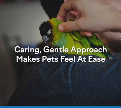 Bald Hills Veterinary Surgery - Bald Hills, QLD. Caring, Gentle Approach Makes Pets Feel At Ease