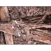 Gallery Image Number 2