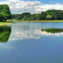 Lakes Ponds and Repairs - Ponds, Lakes & Water Gardens Construction