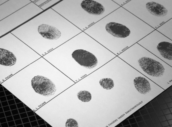 Fourtree Lawyers - Erina, NSW. Fraud Offences - Fourtree Lawyers