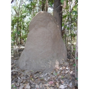 Gallery Image Number 2